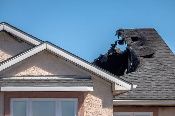 Licensed Fire Damage Removal service in Gainesville, FL - Fire Damage Laser Cleaning